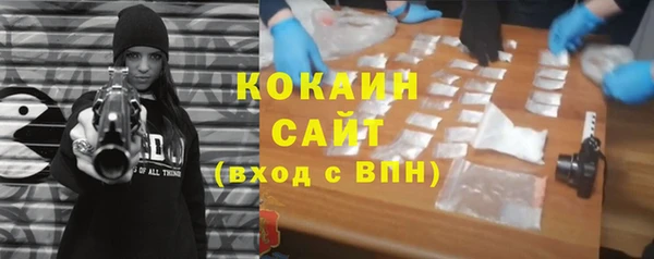 прущие грибы Алексин