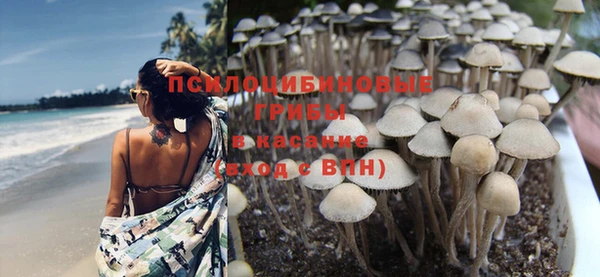 мет Алзамай