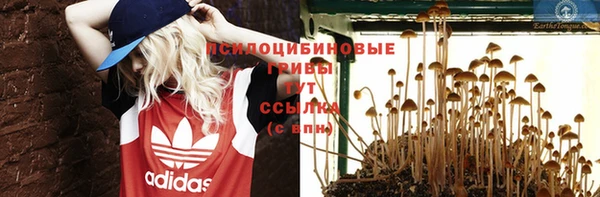 прущие грибы Алексин