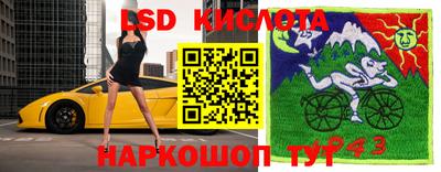молекула духа Кингисепп