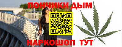 молекула духа Кингисепп