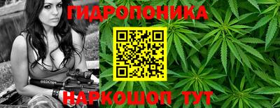 СК Кинель