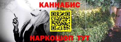 молекула духа Кингисепп