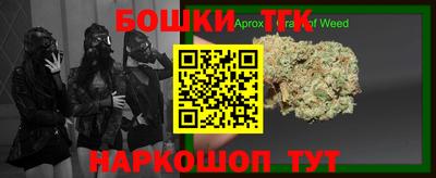 молекула духа Кингисепп