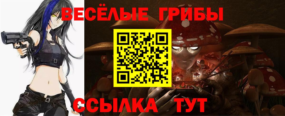 Галлюциногенные грибы мицелий Кириши